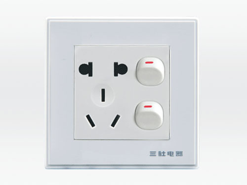 10A 250V~Two-position single control switch two- and three-pole socket